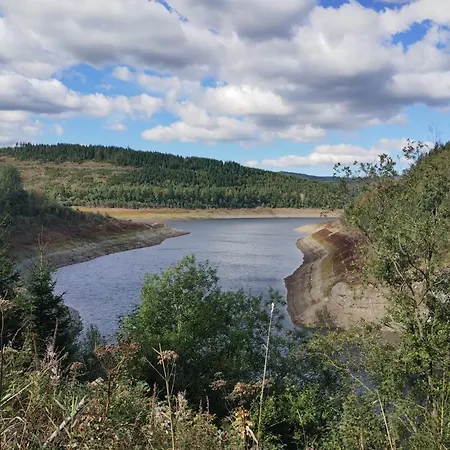 Waldgefluester Апартаменты Альтенау