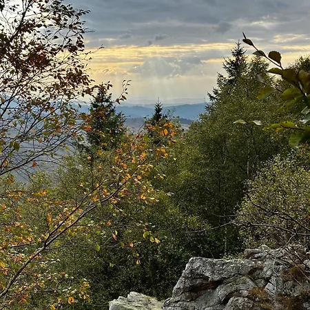 Апартаменты Waldgefluester