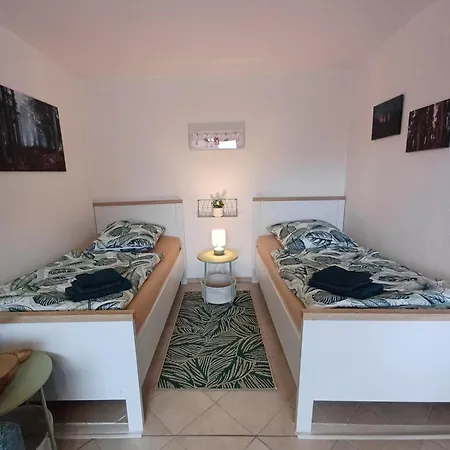 Appartement Waldgefluester