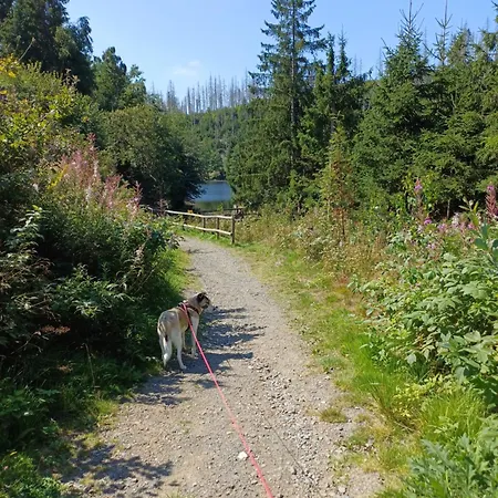 Waldgefluester Апартаменты *