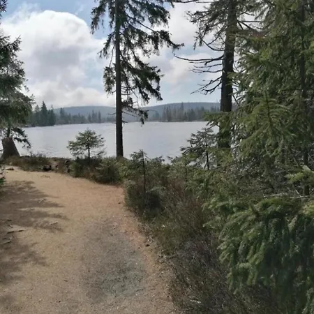 Апартаменты Waldgefluester