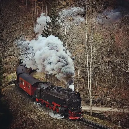 Апартаменты Waldgefluester Альтенау