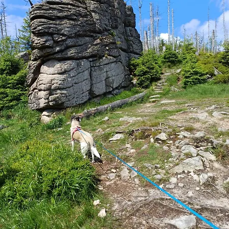 Waldgefluester * Альтенау